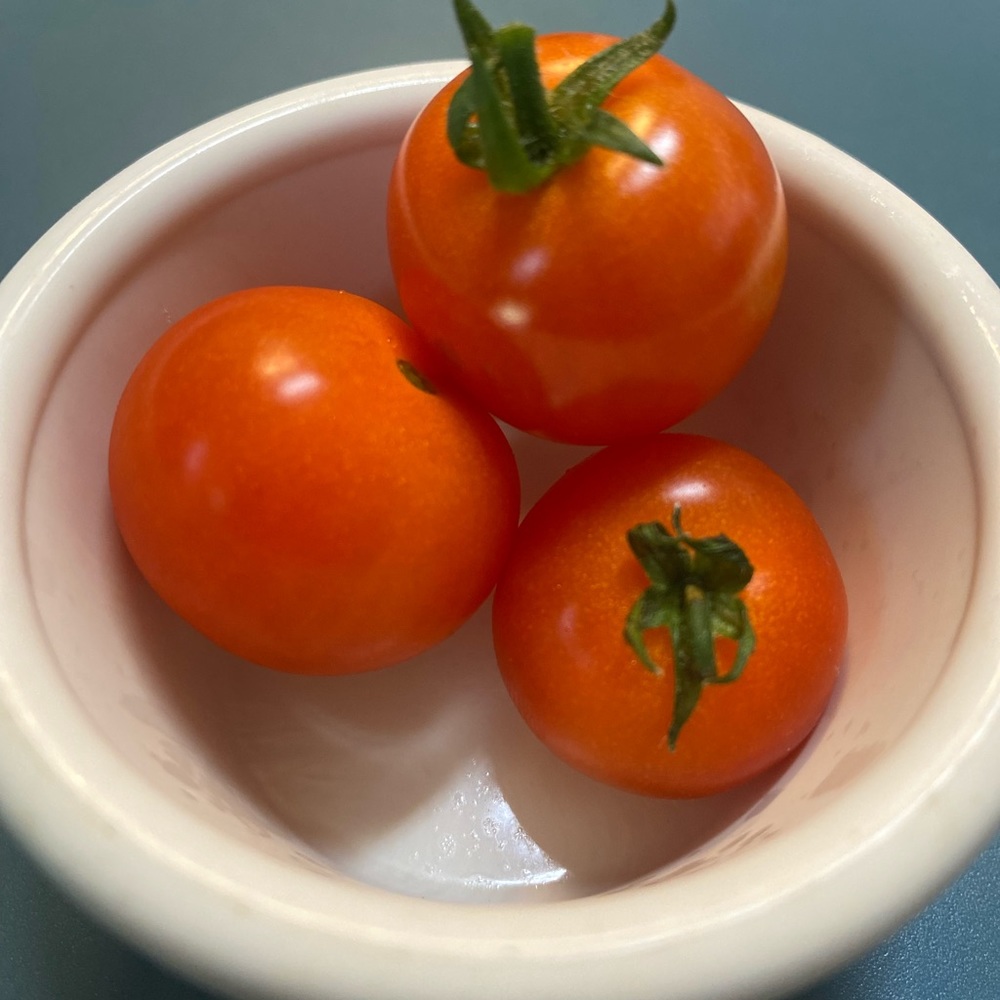 Meet your Posher, Donesha